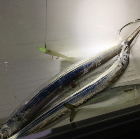 アジ　サバ　太刀魚　ジグパラマイクロ・ジグパラワインド